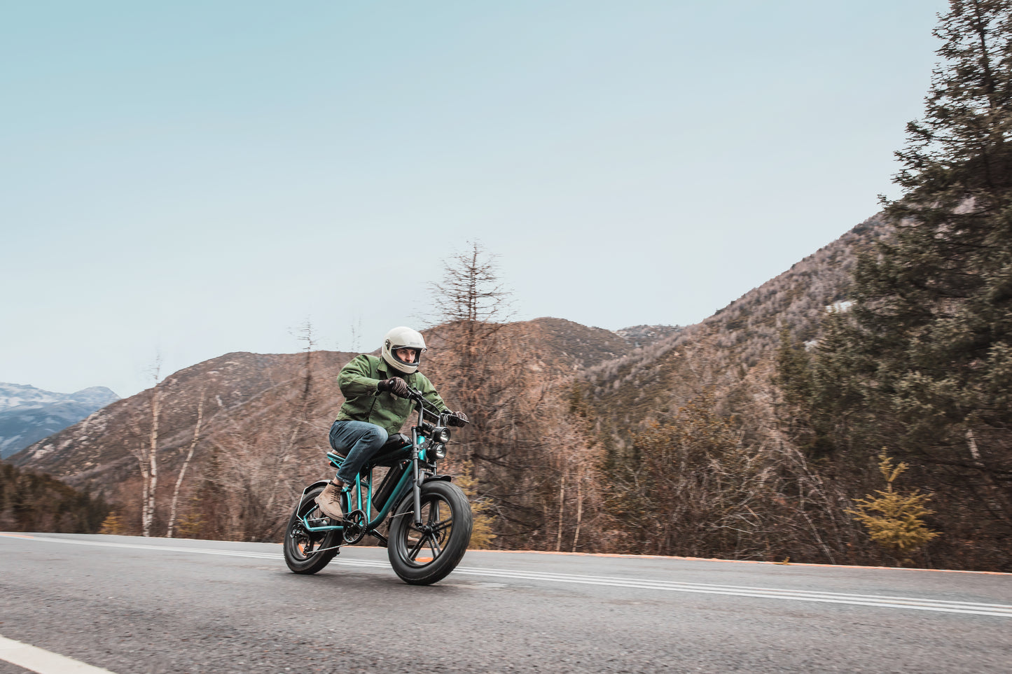 ENGWE M20 Electric Bike for Adults-750W 4.0 * 20" Fat Tire Offroad Cruiser E Motorcycle28MPH 94Miles Long Range for48V13Ah(26Ah-Dual Battery Option), FullSuspension