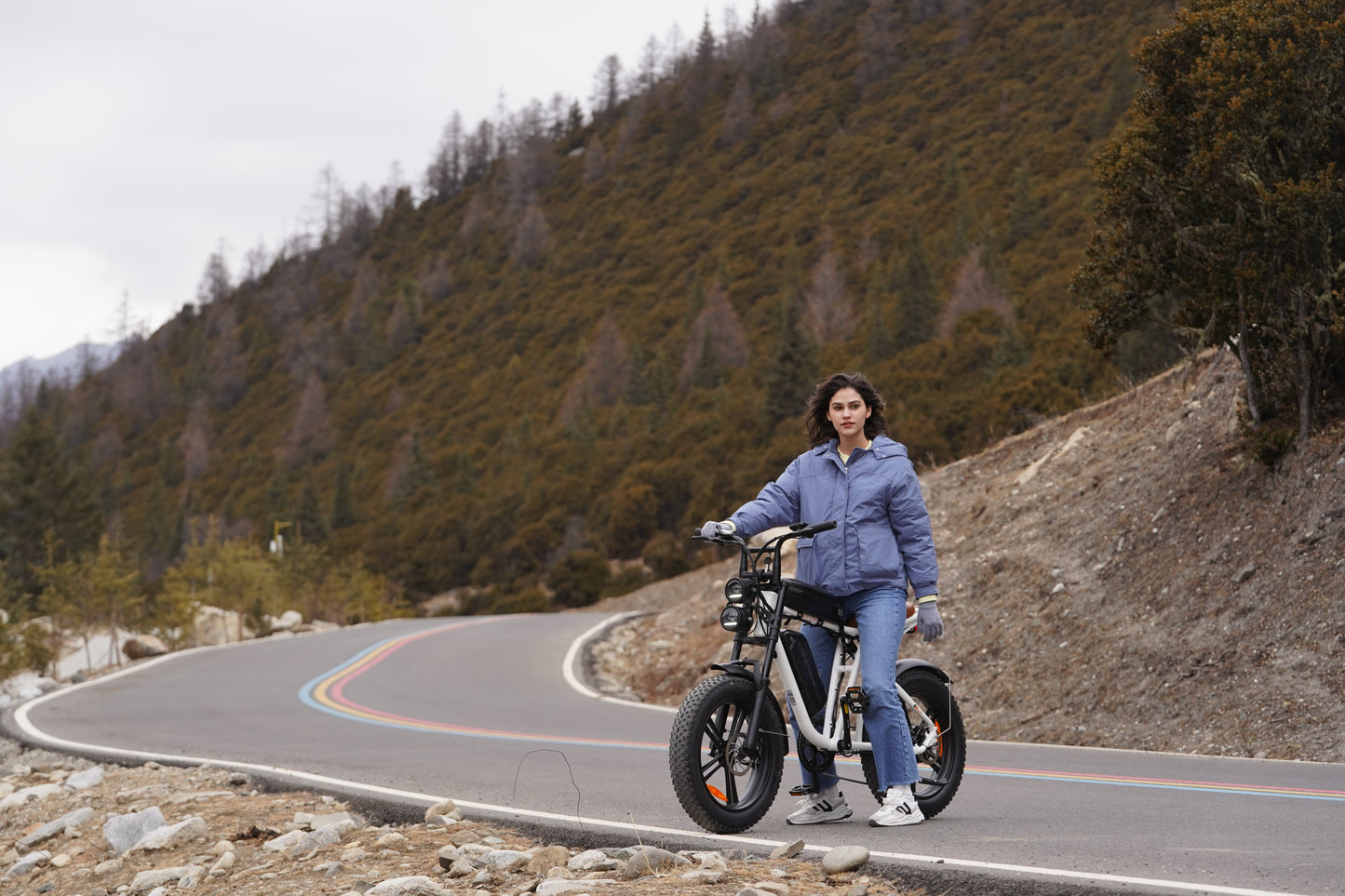 ENGWE M20 Electric Bike for Adults-750W 4.0 * 20" Fat Tire Offroad Cruiser E Motorcycle28MPH 94Miles Long Range for48V13Ah(26Ah-Dual Battery Option), FullSuspension
